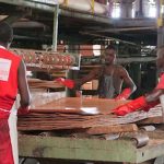 Des employés Rougier au Gabon